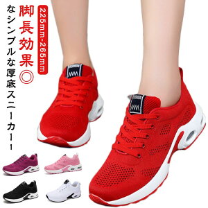 EHLOV[Y 傫TCY  fB[X Y Xj[J[ jOXj[J[ ʋC jO jpt H X|[cV[Y ^C X|[c  AEghA 傫