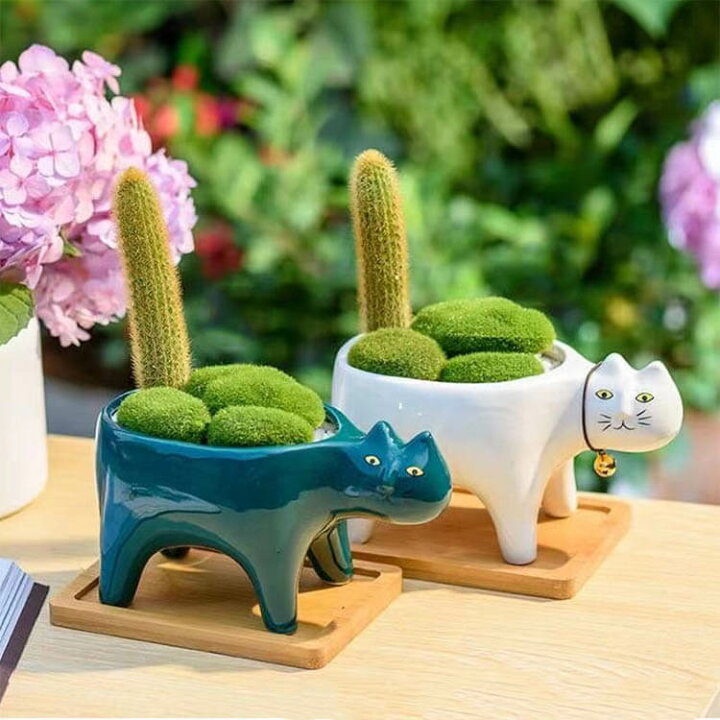 楽天市場】ミニ プランター 植木鉢 多肉植物鉢 2個セット サボテン鉢  