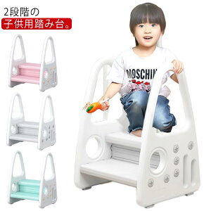 2iXebv LbYXebv  qpݑ ebv 2i r ʏ Lb` 肷t ~ l/qp 肷 GR ȃGl ɗD ω׏d45kg S  gC