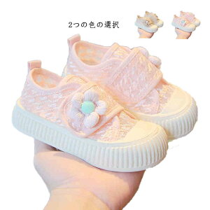 V[Y LbY qXj[J[ Xj[J[T_ bVC ʊw y ʋC JWAV[Y  X|[cXj[J[ ~ j̎q ̎q w  t[Xj