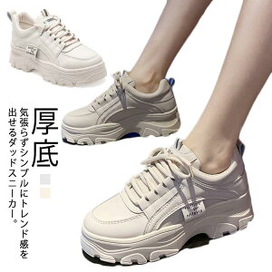 _bhXj[J[ Xj[J[ fB[X V[Y _bh Xj[J[ EH[LOV[Y  x[W  킢 lC C  Xj[J[ zCg x[W r ^C X