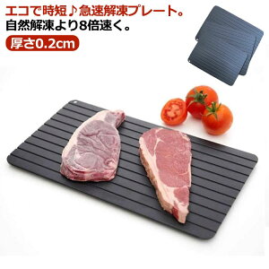 自然解凍 急速解凍 送料無料 肉 魚 急速 解凍 刺身 家庭用 解凍ツール 解凍トレイ アルミ 熱を加えず急速解凍 解凍プレート 解凍板 解凍プレート 食品解凍 電気不要 冷凍食品対応 粗熱取り