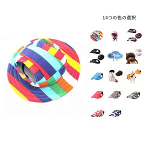 pXq   ̓ Xq hbOEFA pi pXq 悯Lbv EFA oeh~  hbO  Lbv L̓  t p  蕨 Oh~ 