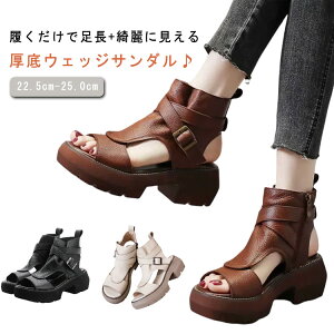 T_ EFbW\[ fB[X T_ y PUU[ xgT_ T}[u[c nCq[ u[cT_ ҂ݏグ  I[vgD  Vv 傫TCY 
