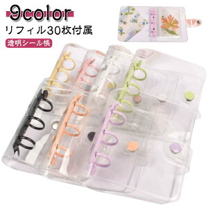 V[ytB30tz A8 v RpNg蒠 V[ t@C VXe蒠 V[蒠 gJ[ oC_[ ^ ANX^P[X 蒠^ 킢  J[ V[