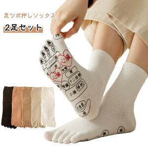 V[g\bNX fB[X C 2Zbg {[h w c{ }bT[W }bT[W@ ڌC ڃ\bNX 5{w\bNX N Y _ j p   ڌC c{