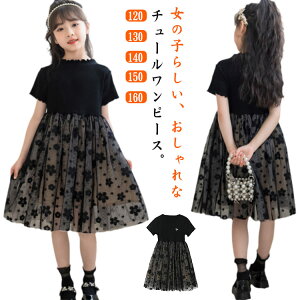  qǂs[X LbY s[X ԕ  q hX tH[} `[hX Vv q t `[ LbYs[X sAm\  Ǝ 񎟉 w 