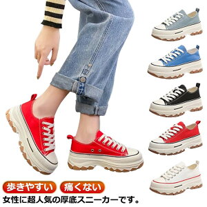 LpX Xj[J[ Xj[J[ [Jbg  V[Y fB[X JWA R y l  Xj[J[ [XAbv C 傫TCY X|[c U ʊwC 