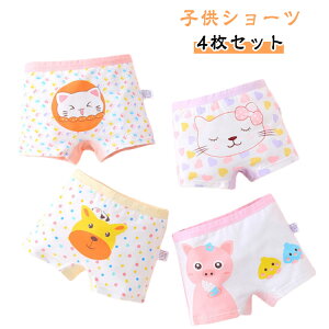 qǂ {NT[ ǂ pc q K[Y q LbYV[c Rbg V[c  w {NT[V[c q H Ci[ sN  y4ZbgzLbY ~  ۈ牀 