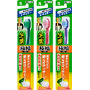 ѐ t ɕuV M[ 炩 1{/䂤[