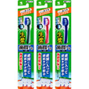 ѐ t ԂɓuV RpNg ӂ 1{/䂤[