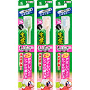 ѐ t ӂӖuV M[ 炩 1{/䂤[