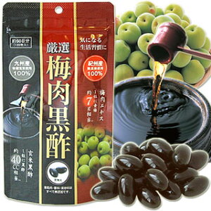 ORTIC I~|@60i120j/z֌/Hi