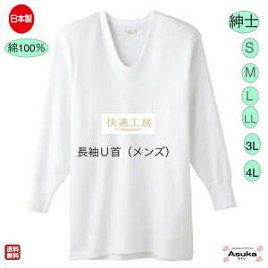 _10ItP2{I^yO[zyUzyS M L LL 3L 4LzO[  KH[@ǎ 100s am  U  { G̗ǂ Sn悢 Y @ 􂢑ւ Z[  v