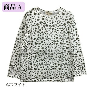 _ |Cg20v[gI^100 ԕ  TVc  VjAt@bV fB[X 80 70 60 VjA Jbg\[ ΂ a v[g ̓ hV̓