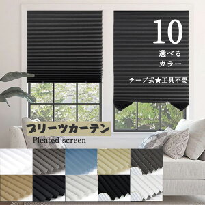  v[cXN[ uCh sDz ^ v[cJ[e 60cm Jbg\ TCY߉ ȒPt Hsv ܂zVF[h Ռ  n zCg ubN x[W 