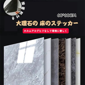 y1Zbgzy10Zbgz ǎ60cm × 60cm  ȔS 嗝΂ ̃XebJ[ t[OV[g tAV[g tA^C 嗝 S V[ t[O tA}