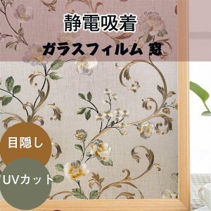  ÓdzEBhEtB V[g ͂ OJbg UV΍ Uh~ ډB hhEHbVu KXtB  EH[XebJ[ ÓdCXebJ[  