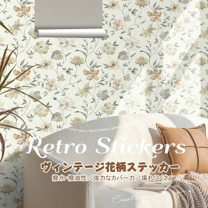  ǎ ǎXebJ[ [sAg ȒPȃAvP[V i diy hǎ ی쎆 ǎ 蒼[UuS SV[ ǎ̂ ǎJbg 