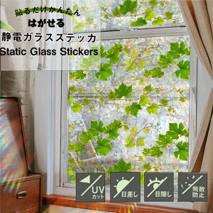  ÓdzEBhEtB V[g ͂ OJbg UV΍ Uh~ ډB hhEHbVu KXtB  EH[XebJ[ ÓdCXebJ[ X