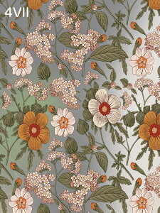  KXtB CNV[g DIY h h 悯 KX XehOX ډBV[g  ͂ ͂ KX{[_[ vCoV[ vCoV[ Xe