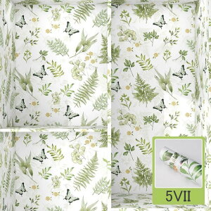  ǎ ǎV[ JbeBOV[gԕ CNV[g ̂t V[ǎ K ͂ NX h h C  h \Ă͂ ϖ h diy SV[g 