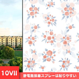  KXtB CNV[g ډBV[g KX XehOX  ͂ ͂ KX{[_[ vCoV[ vCoV[ XehOX V[g 