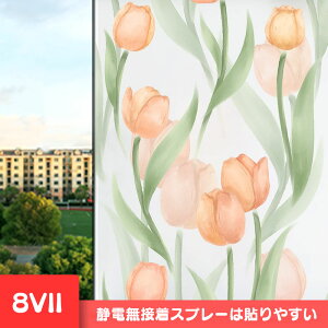  KXtB CNV[g ډBV[g KX XehOX  ͂ ͂ KX{[_[ vCoV[ vCoV[ XehOX V[g 