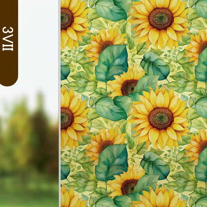  KXtB CNV[g ډBV[g KX XehOX  ͂ ͂ KX{[_[ vCoV[ vCoV[ XehOX V[g DIY 