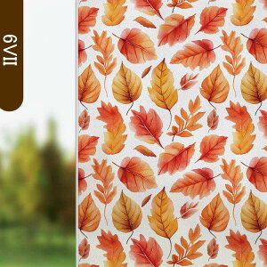  KXtB CNV[g ډBV[g KX XehOX  ͂ ͂ KX{[_[ vCoV[ vCoV[ XehOX V[g DIY 