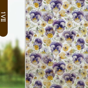  KXtB CNV[g ԕ t ډBV[g KX XehOX  ͂ ͂ KX{[_[ vCoV[ vCoV[ XehOX 