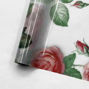  KXtB CNV[g ډBV[g KX XehOX  ͂ ͂ KX{[_[ vCoV[ vCoV[ XehOX V[g h