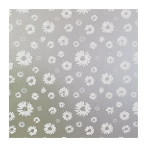  KXtB CNV[g ډBV[g KX XehOX  ͂ ͂ KX{[_[ vCoV[ vCoV[ XehOX V[g 