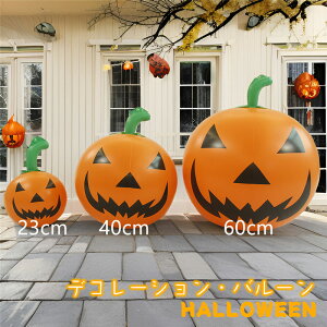  nEB o[ D S[Xg  u Mtg ObY nEBD nEB̏ nEBG o[AW o[Mtg J{` o[AW