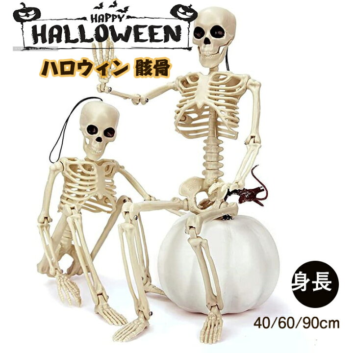 楽天市場】送料無料 ハロウィン 骸骨 ハロウィンスケルトン 40 /60 