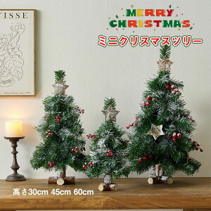  ~jNX}Xc[ ~jNX}Xc[@NX}XG Cgt Cg 30cm,45cm,60cm  u e[u k i`       