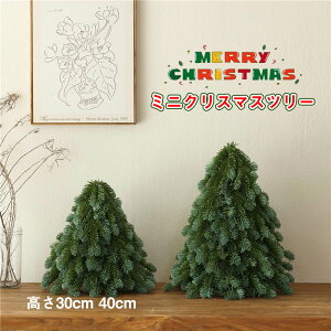 ~jNX}Xc[ ~jNX}Xc[@NX}XG 30cm,40cm, u e[u k i`        i  CeA ~j