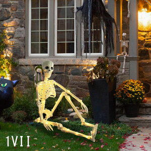  LEDCg  ͂ɂރhN nEB KCRc lI CeA [ G o[ JtF X nEBCg  Ղ͋̕C 뉮O nEBd t n