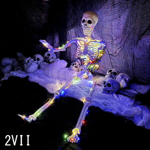  LEDCg  ͂ɂރhN nEB KCRc lI CeA [ G o[ JtF X nEBCg  Ղ͋̕C 뉮O nEBd t n