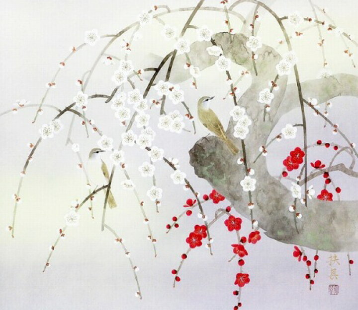 楽天市場】【掛け軸・掛軸】池野扶其『しだれ紅白梅』日本画□表装済み 