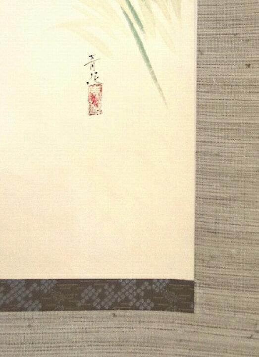 楽天市場】【掛け軸・掛軸】辰本青花『菖蒲』日本画□表装済み・新品 