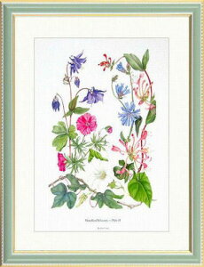 yGzPam Longwpbgx恡Vi