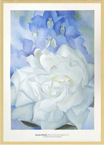 �y�G��z�W���[�W�A�E�I�L�[�t�w�z���C�g�E���[�Y�x�����恡�V�i��