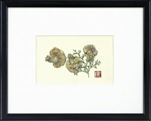 yʉEGz͑qw 1xʉ恡Vi