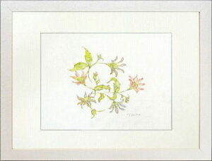 yʉEGz͑qw݂₱킷xʉ恡Vi