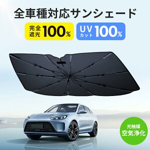 y≷XeBbNƓwpz TVF[h  P tg 10{ ԗp 悯 ԗpi tg J[TVF[ UVJbg Ռ100 fM100 P^TVF[h ԗpTVF[h