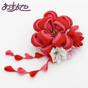  ܂ݍ׍H ܎O ̎q   [iԍkz472]