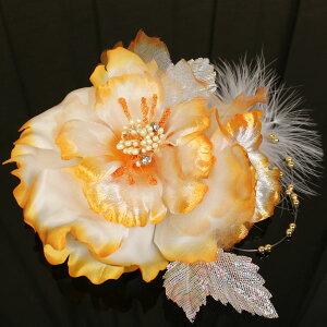  a Upǂ R[^Cv ӂӂH  [iԍkz79]