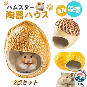 ハリネズミ ケージ セット」の人気商品一覧・価格比較 - 価格.com