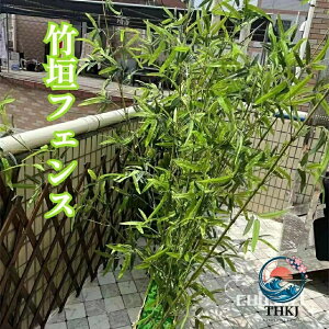 �|�_�t�F���X �t�F���X �ډB�� ���O �l�H�| �E�H�[���O���[�� �|�t�F���X �|�� �� ���� �| ���[ �� �x�����_ �ډB�� �ϗt�A�� ��^ �l�H ���| �| �| �� �| �d�؂� ���� 90cm 120cm 150cm 180cm 200cm 250c